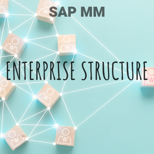 All you need to know about the terms in Enterprise Structure – SAP S/4 HANA