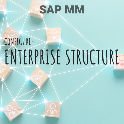 How to configure Enterprise Structure? – SAP S/4 HANA